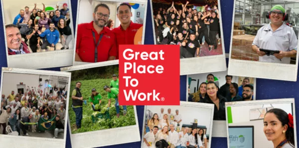 Somos great place to work en Colombia, Brasil y Costa Rica