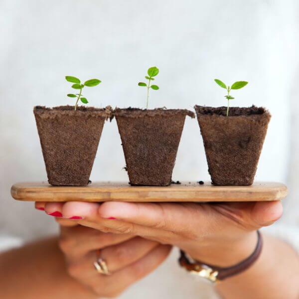 Sustainability