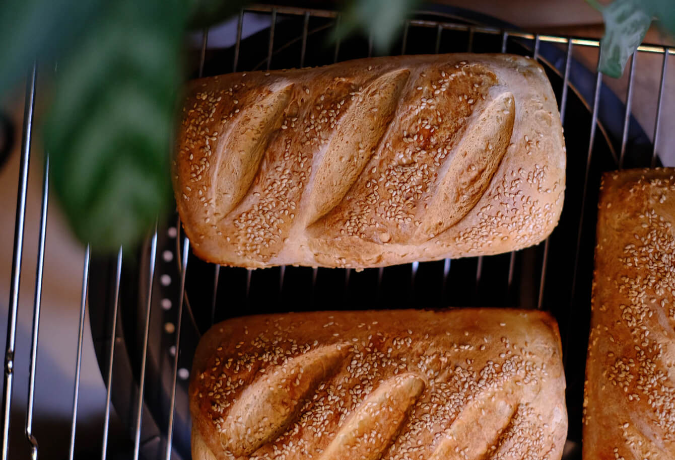 Loaves for bread