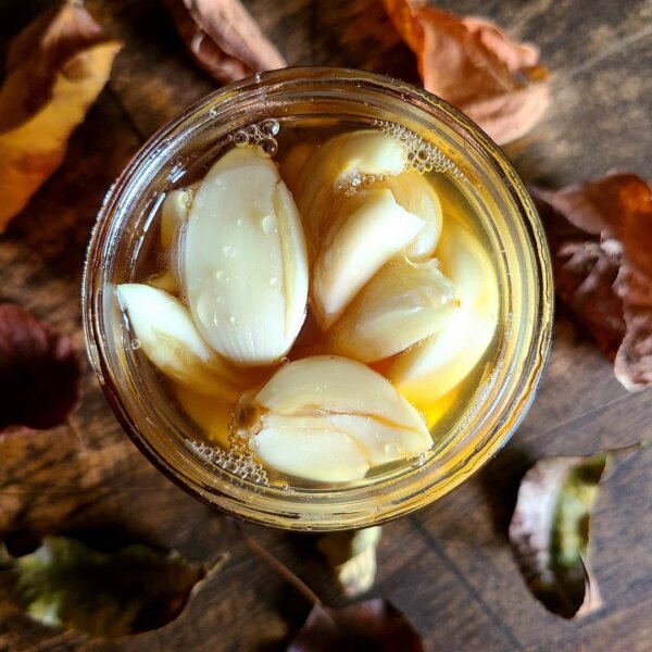 fermented-garlic-honey