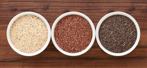 Three bowls containing quinoa varieties