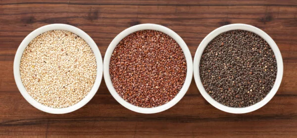 Three bowls containing quinoa varieties