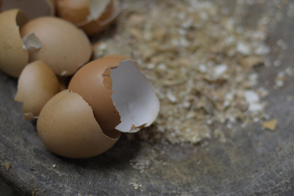 Crushed organic eggshells in a mortar with a pestle, used as natural fertilizer for sustainable home gardening and eco-friendly plant care.”