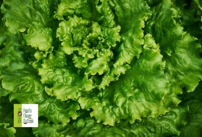 Close-up of fresh green lettuce leaves, representing recognizable ingredients and ingredient transparency in food products.