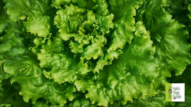Close-up of fresh green lettuce leaves, representing recognizable ingredients in food products.